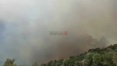 Photo of Продолжува гаснењето на пожарот во централна Грција – во текот на ноќта евакуирани села