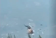 Photo of Два хеликоптера се судрија во воздух додека го гаснеа големиот пожар во Грција
