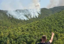 Photo of ЦУК: Интервенција на три авиони и еден хеликоптер за гаснење на пожарот над село Габер