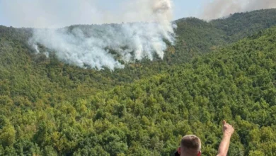 Photo of ЦУК: Интервенција на три авиони и еден хеликоптер за гаснење на пожарот над село Габер