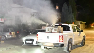 Photo of Во Скопје вечерва 13-та дезинсекција против комарци сезонава