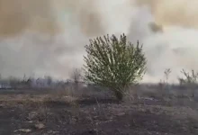 Photo of Голем пожар избувна во струмичко меѓу селата Баница и Водоча, прогласена евакуација на жителите од населбата Софилар
