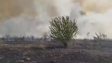 Photo of Голем пожар избувна во струмичко меѓу селата Баница и Водоча, прогласена евакуација на жителите од населбата Софилар