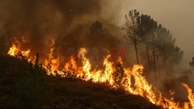 Photo of Пожари и натаму беснеат во пет општини во Црна Гора
