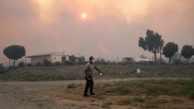 Photo of Пожари во шумските области на Анталија и Дијарбакир, гаснењето е во тек