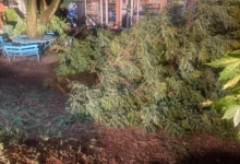 Photo of Невреме и во Чешиново-Облешево, надлежните служби на терен ги санираат штетите