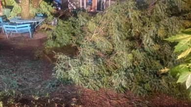 Photo of Невреме и во Чешиново-Облешево, надлежните служби на терен ги санираат штетите