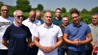 Photo of Филипче на средба со лозарите: СДСМ ќе поднесе Закон – 5 денари повеќе за секој килограм грозје