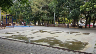Photo of Исклучени четири фонтани во Општина Карпош како превенција од западнонилска треска