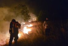 Photo of Пожарот во прилепско Чаништа се движи во четири крака – гори и во Кичевско, Македонски Брод, Студеничани и Могила