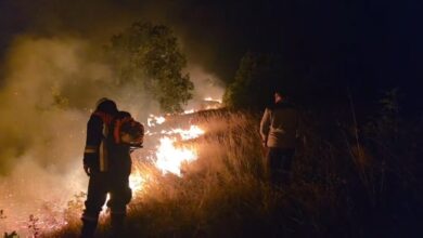 Photo of Пожарот во прилепско Чаништа се движи во четири крака – гори и во Кичевско, Македонски Брод, Студеничани и Могила