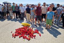 Photo of ГАЛЕРИЈА: Земјоделците од Струмичко излегоа на протест – Бараат зголемување на откупните цени