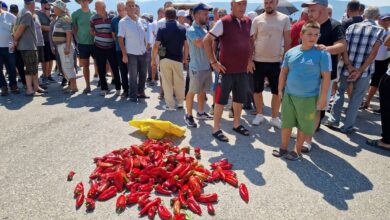 Photo of ГАЛЕРИЈА: Земјоделците од Струмичко излегоа на протест – Бараат зголемување на откупните цени