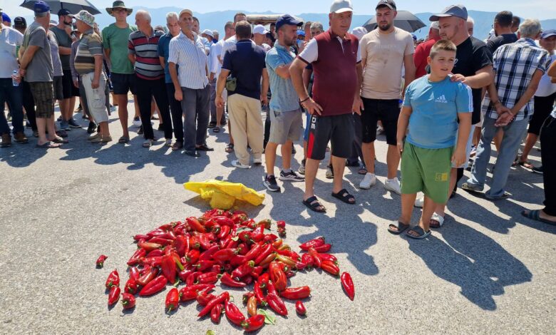 Photo of ГАЛЕРИЈА: Земјоделците од Струмичко излегоа на протест – Бараат зголемување на откупните цени
