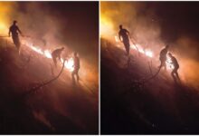Photo of (ВИДЕО) Со трактор влезе во огнот: Александар Чепиговски помогна да се запре пожарот во селото Лознани