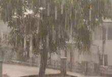 Photo of Видео: Преспа невреме со силен дожд