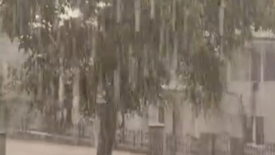Photo of Видео: Преспа невреме со силен дожд