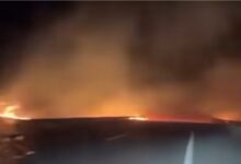 Photo of (Видео) Огнови целосно го проголтаа патот Штип-Кочани — возачите да го избегнуваат, повикаа надлежните
