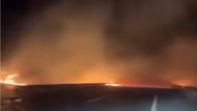 Photo of (Видео) Огнови целосно го проголтаа патот Штип-Кочани — возачите да го избегнуваат, повикаа надлежните