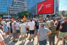 Photo of Струмичките земјоделци бараат да се почитува договорената откупна цена на ајварката – денеска таа паднала на 20 денари