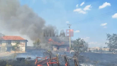 Photo of Локализиран пожарот кај селото Гујновци во Пробиштип, пожарникарите се на терен