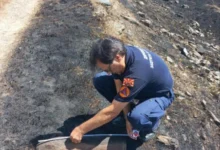 Photo of ДЗС: Отстранети гранати од минатите војни во атарот на село Мегленци во Новаци – предел што бил зафатен од пожар