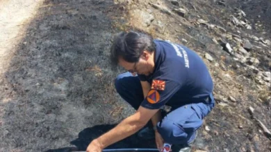 Photo of ДЗС: Отстранети гранати од минатите војни во атарот на село Мегленци во Новаци – предел што бил зафатен од пожар