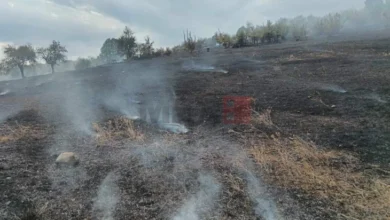 Photo of ЦУК: До 18 часот 11 активни пожари, а три под контрола