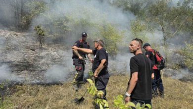Photo of Можна е интервенција од воздух над пожарот кај Никуштак