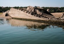 Photo of Десетици нацистички бродови испливуваат на површина во близина на Прахово: Хитлер самиот ги потопил