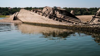 Photo of Десетици нацистички бродови испливуваат на површина во близина на Прахово: Хитлер самиот ги потопил