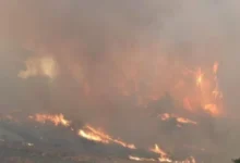 Photo of Во Албанија, вчера регистрирани  17 пожари,  активни се 8, евакуирани жители