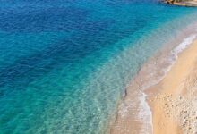 Photo of За само неколку минути спасил три животи: херојска реакција на плажа во Ситонија