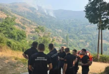 Photo of ЦУК: Ангажирани се сите ресурси за ставање под контрола на пожарот кај Палиград и Китка