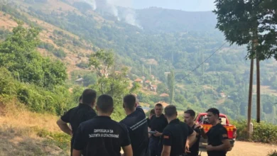 Photo of ЦУК: Ангажирани се сите ресурси за ставање под контрола на пожарот кај Палиград и Китка
