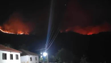 Photo of Осум активни пожари во осум општини, вкупно 31 пожар во изминатото деноноќие