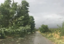 Photo of Двајца загинати и стотици илјади домаќинства без струја по силното невреме што го зафати Балтикот