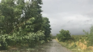 Photo of Двајца загинати и стотици илјади домаќинства без струја по силното невреме што го зафати Балтикот