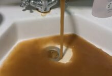 Photo of Ангелов: Има бактерија во водата во Гостивар, предизвикува инфекции на кожата, очите и ушите