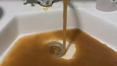 Photo of Ангелов: Има бактерија во водата во Гостивар, предизвикува инфекции на кожата, очите и ушите