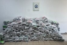 Photo of (ВИДЕО) МВР објави видео од марихуаната која беше запленета од меѓународна криминална група