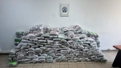 Photo of (ВИДЕО) МВР објави видео од марихуаната која беше запленета од меѓународна криминална група