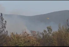 Photo of Под контрола е пожарот во Националниот парк „Пелистер“