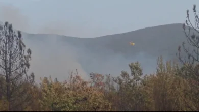 Photo of Под контрола е пожарот во Националниот парк „Пелистер“