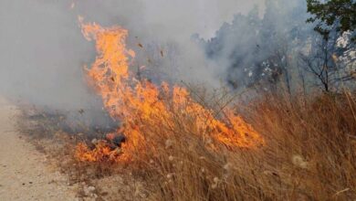 Photo of (ВИДЕО) Голем пожар во Струмица, присилно се евакуираат жители, има и хоспитализирани