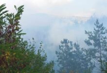Photo of Се смирува ситуацијата со пожарот на Халкидики: По морски пат биле евакуирани 481 лице