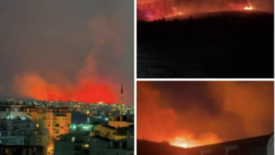 Photo of Големи пожари во Албанија, претседателот Бегај апелира на солидарност и одговорност од сите