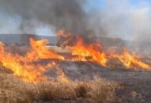 Photo of Пожар од големи размери се шири кај Валона