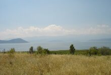 Photo of Скопјанец исчезна во Преспанското Езеро – Тигрите трагаат по него