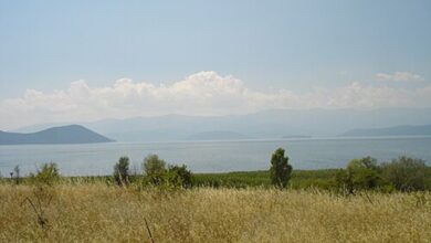 Photo of Скопјанец исчезна во Преспанското Езеро – Тигрите трагаат по него
